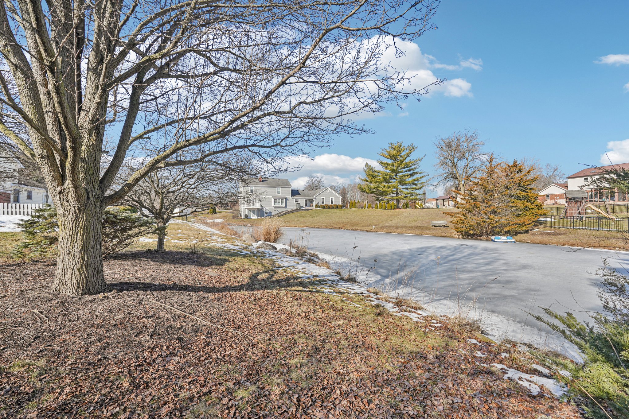 Greyhound Cir-S1402-009.jpg