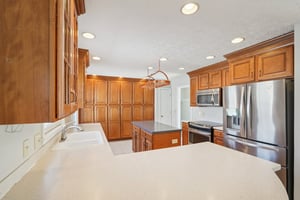 Greyhound Cir-S1202-015.jpg