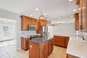 Greyhound Cir-S1202-018.jpg