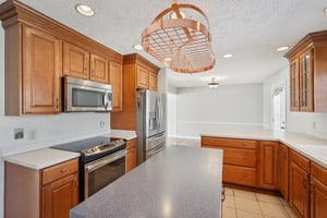 Greyhound Cir-S1202-019.jpg