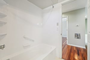 Greyhound Cir-S1202-030.jpg