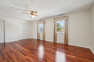 Greyhound Cir-S1202-034.jpg