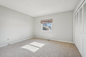 Greyhound Cir-S1202-039.jpg