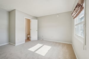 Greyhound Cir-S1202-040.jpg