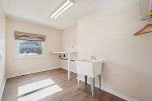 Greyhound Cir-S1202-044.jpg