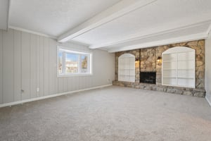 Greyhound Cir-S1202-048.jpg