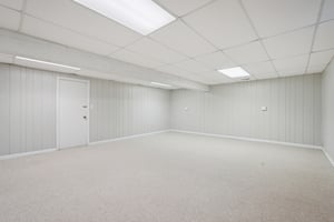 Greyhound Cir-S1202-052.jpg