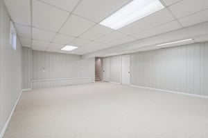 Greyhound Cir-S1202-053.jpg