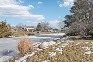 Greyhound Cir-S1402-006.jpg