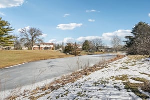 Greyhound Cir-S1402-007.jpg