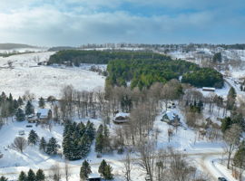  Photo 44
