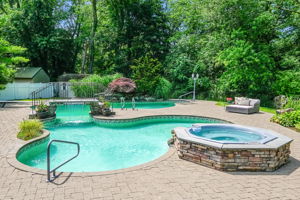 Custom Pool with Cold Tub