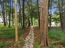  Photo 45