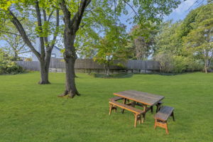  Photo 39
