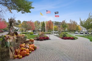 More than a neighborhood - it’s a thriving community where energy and kindness bloom together.