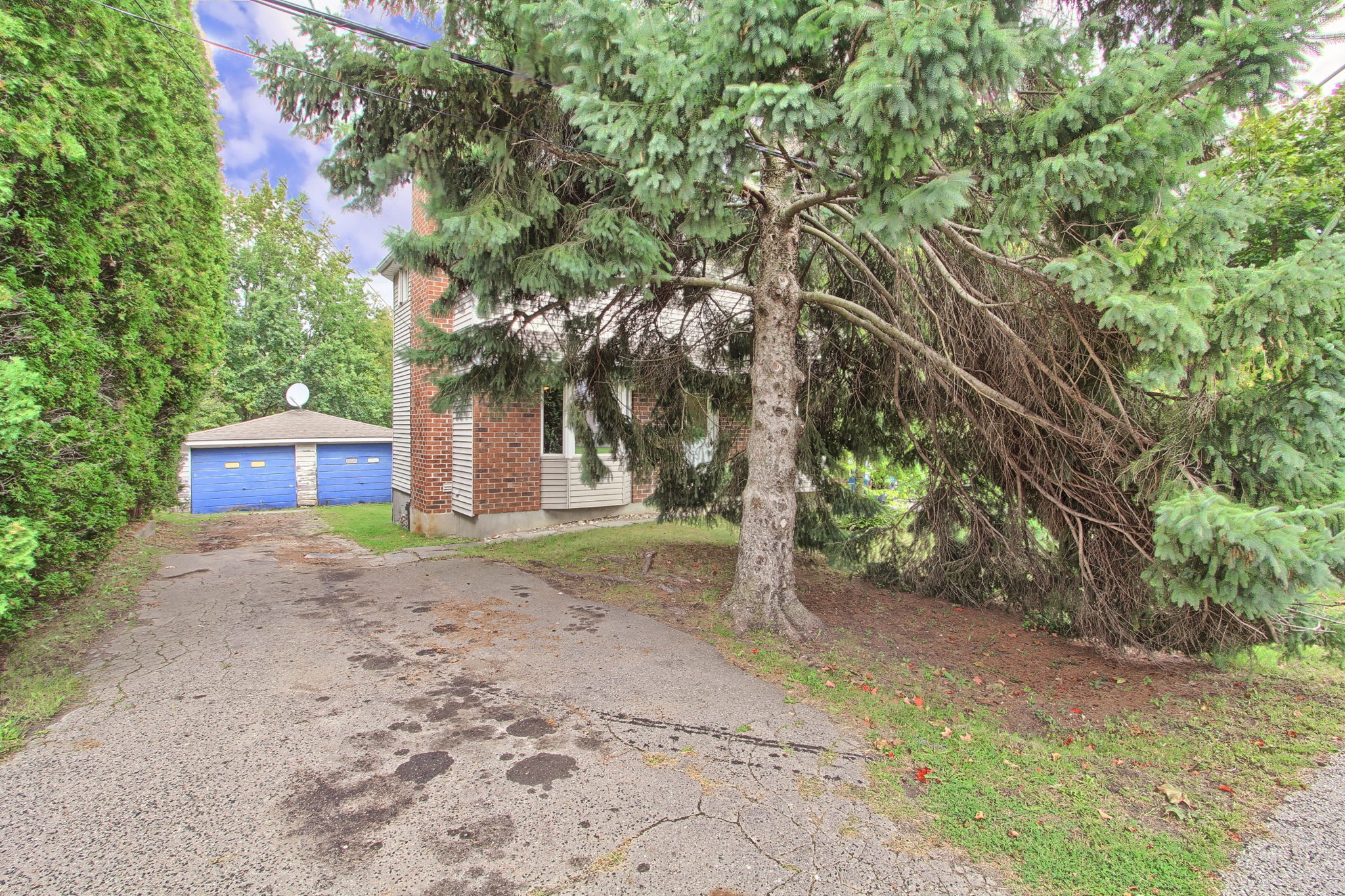  Photo 4
