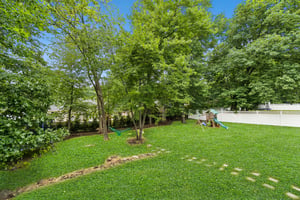 A7404172.jpg
