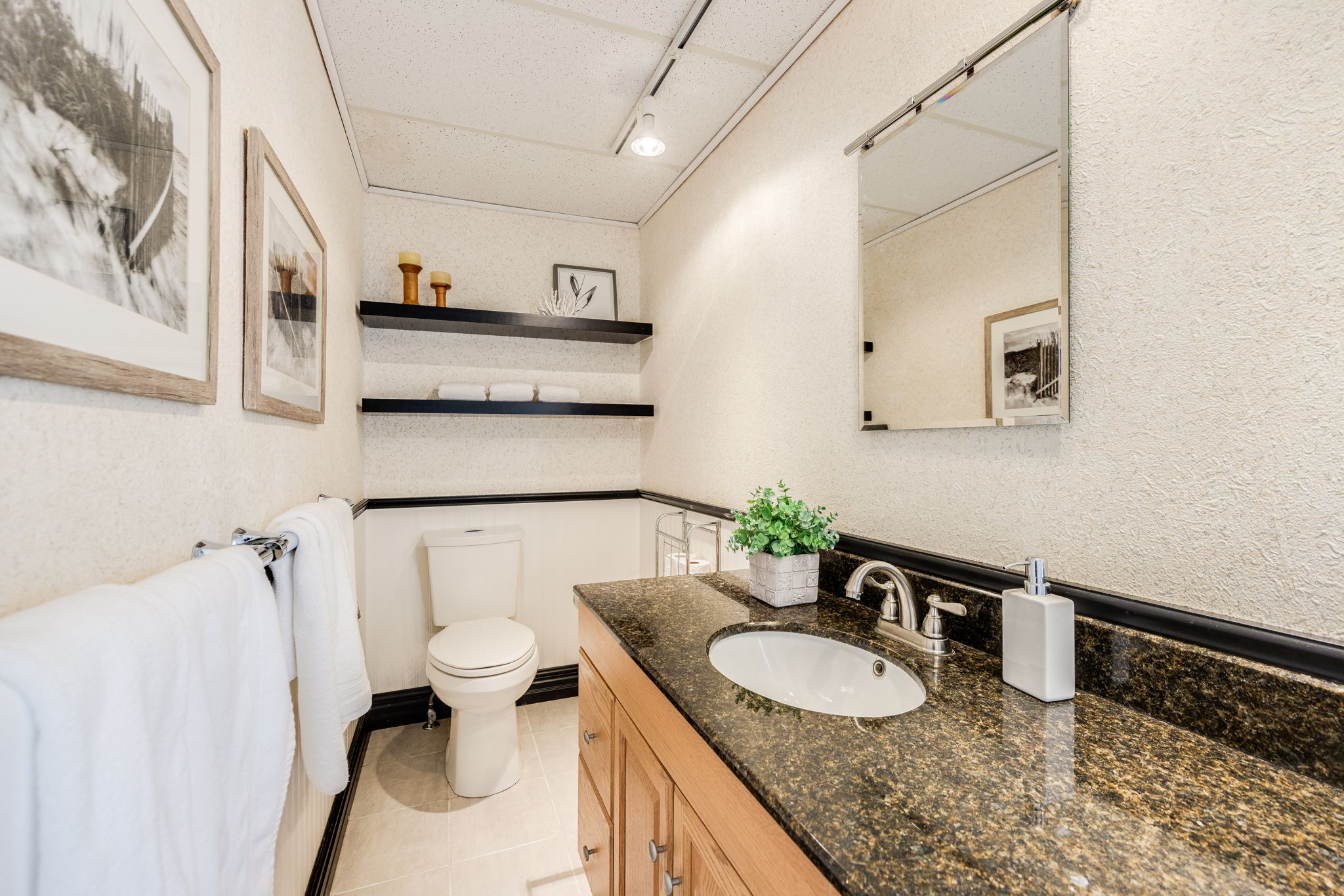 Toronto property showcase — delivered property photograph 21