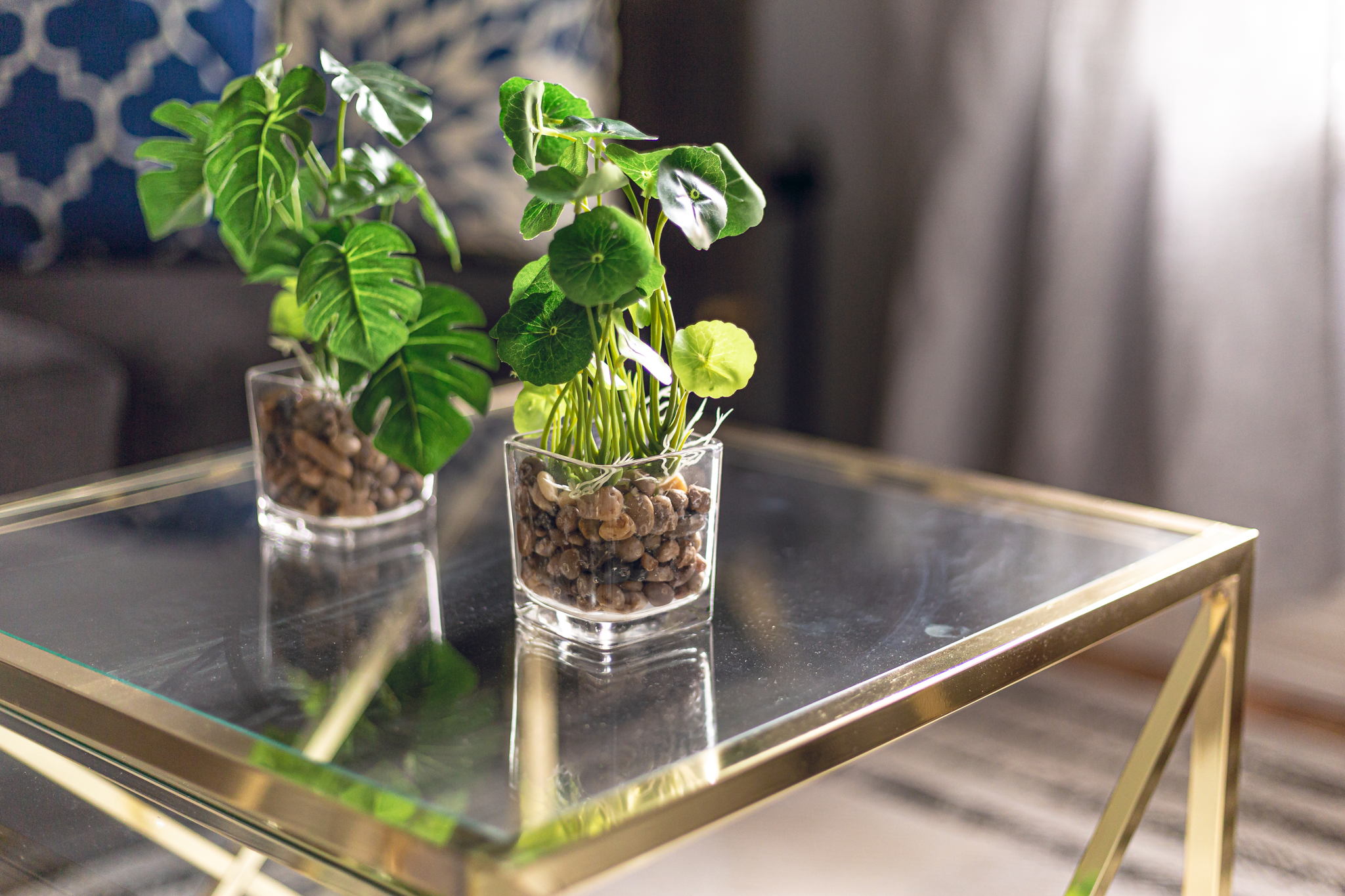 Toronto property showcase — delivered property photograph 4