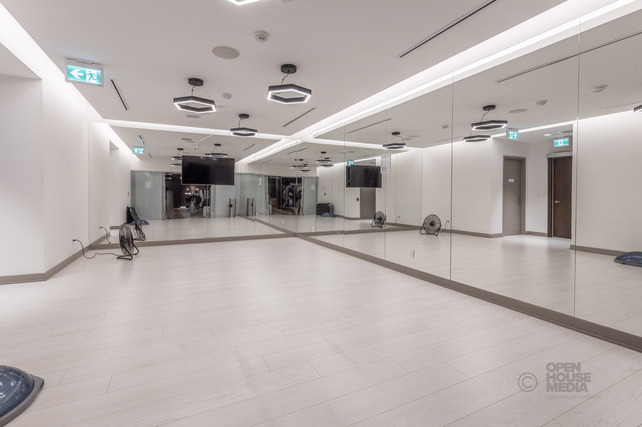 Toronto property showcase — delivered property photograph 39