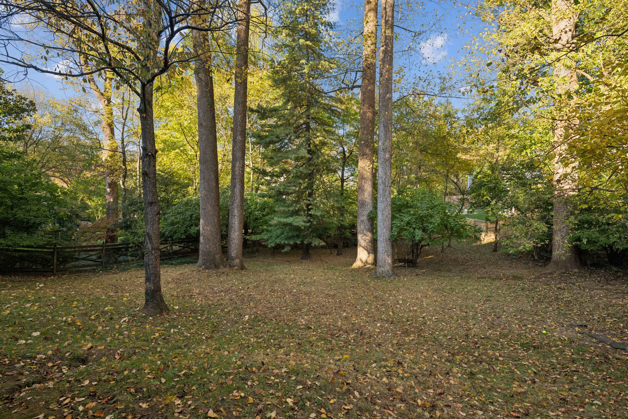 Rear Yard