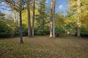 Rear Yard