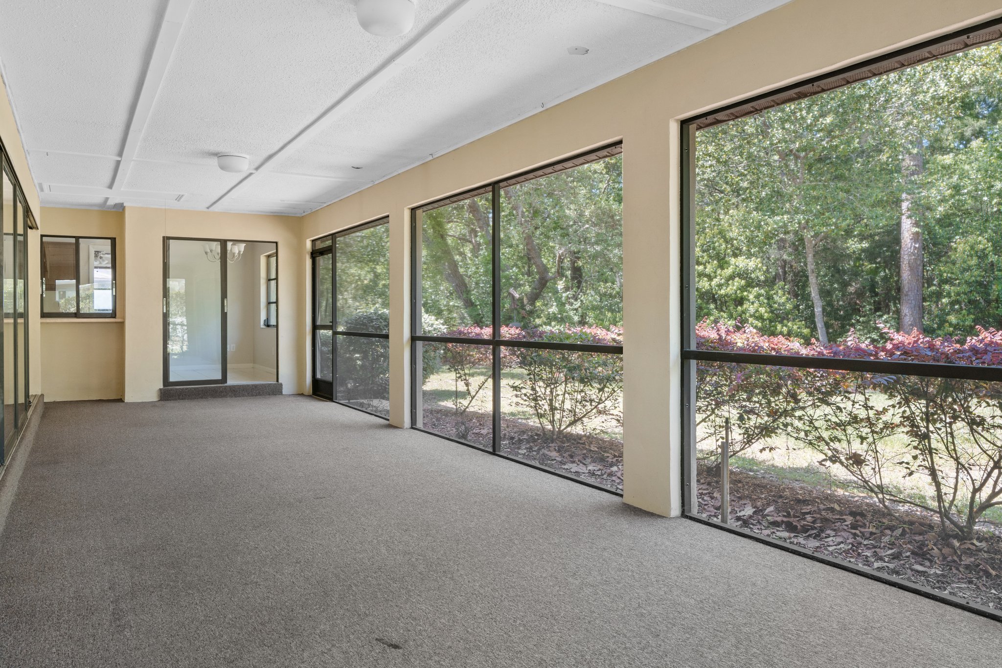 6 Sycamore Dr, Homosassa, FL 34446, USA Photo 28