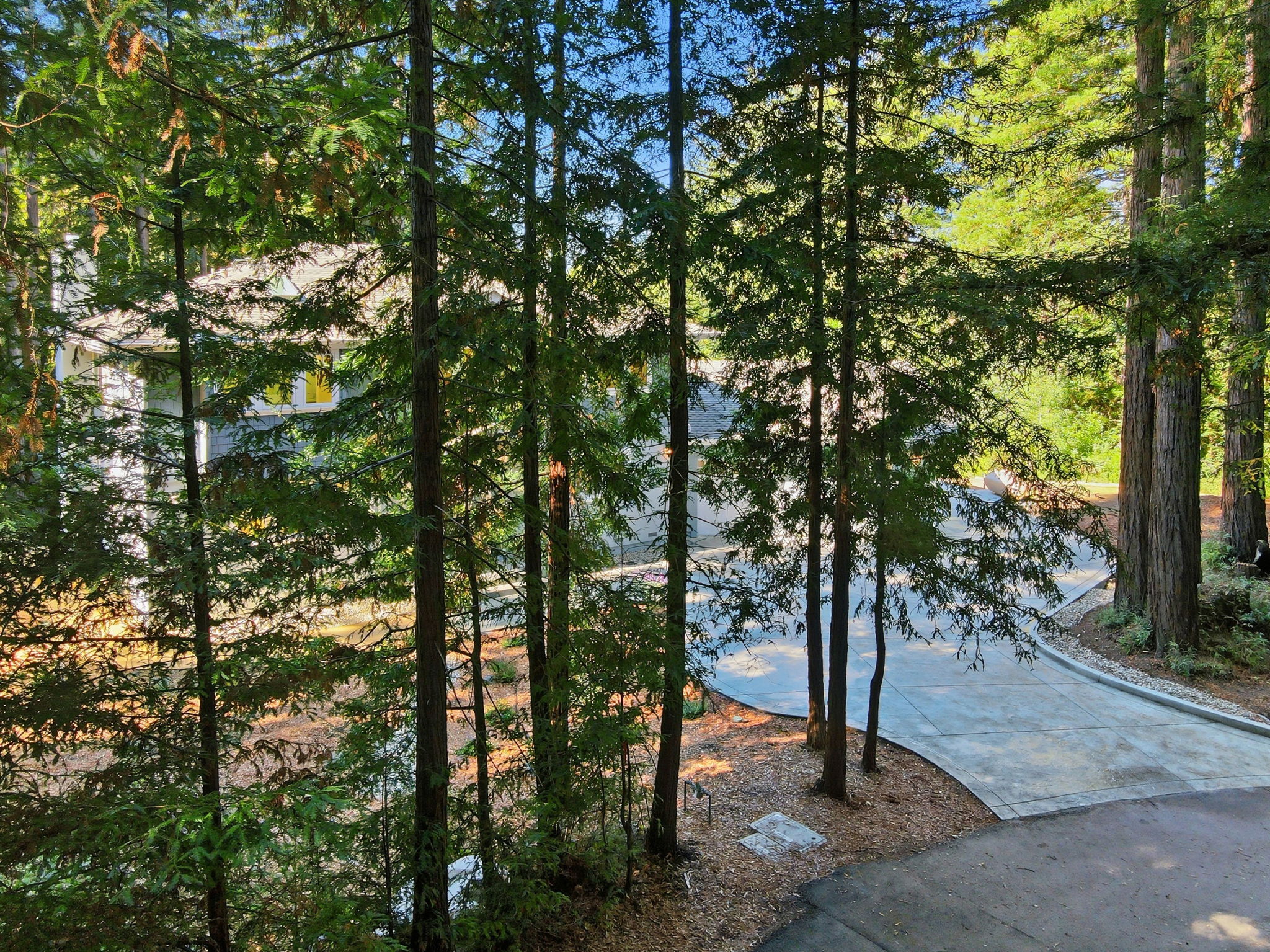 004_f8_AERIAL_6 Timber Ridge Ln