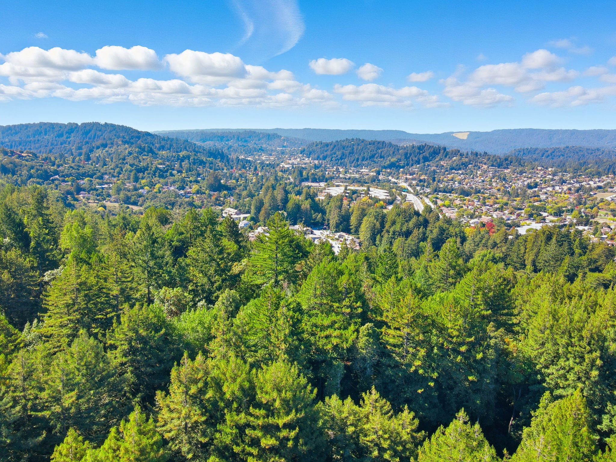 014_f8_AERIAL_6 Timber Ridge Ln