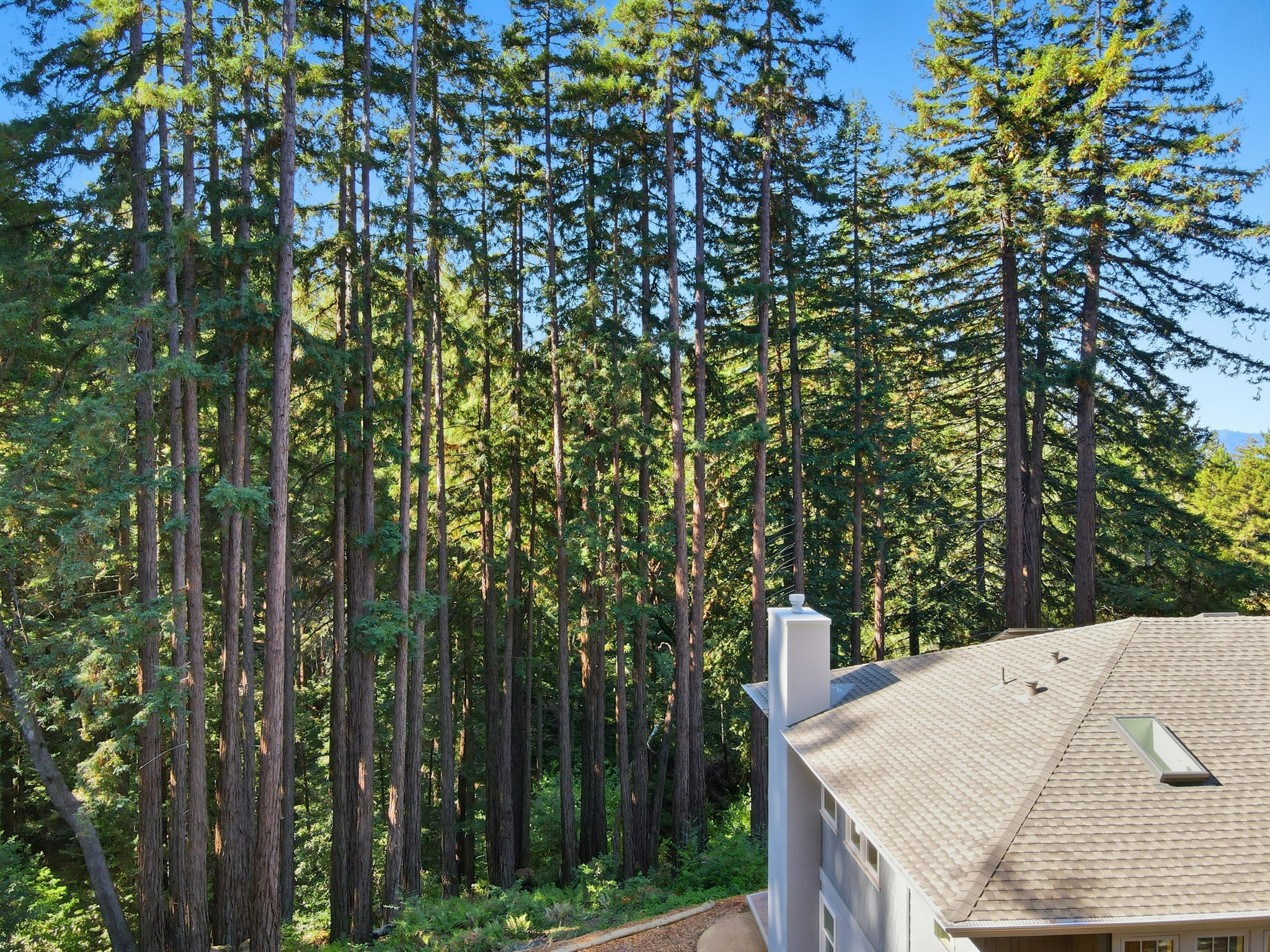 016_f8_AERIAL_6 Timber Ridge Ln