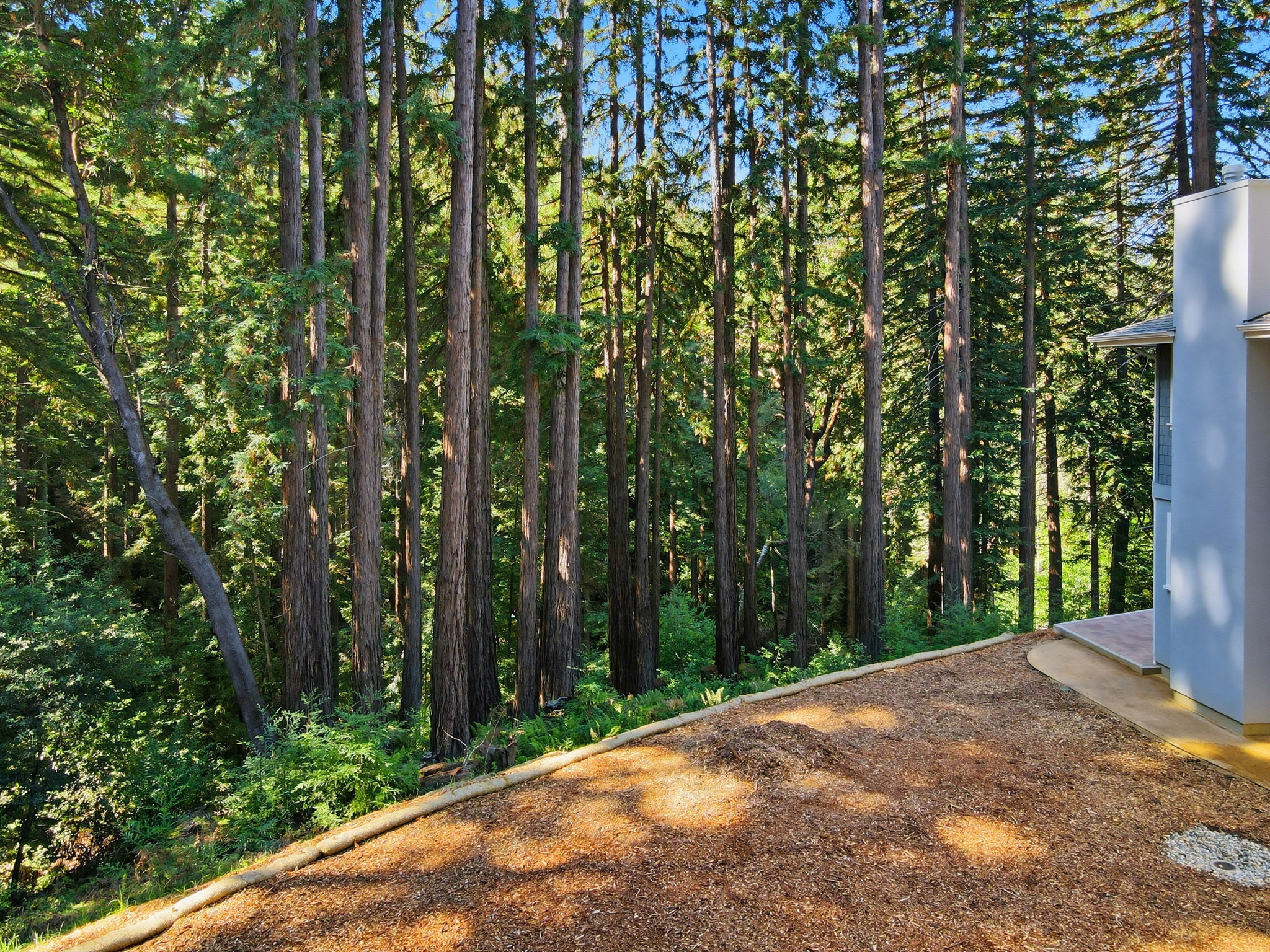 017_f8_AERIAL_6 Timber Ridge Ln