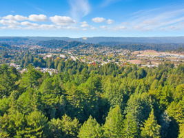 013_f8_AERIAL_6 Timber Ridge Ln