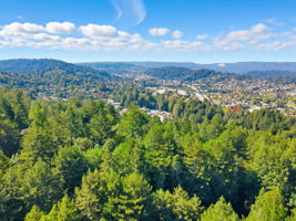 014_f8_AERIAL_6 Timber Ridge Ln