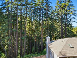 016_f8_AERIAL_6 Timber Ridge Ln