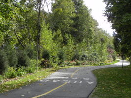Bike Path (1)