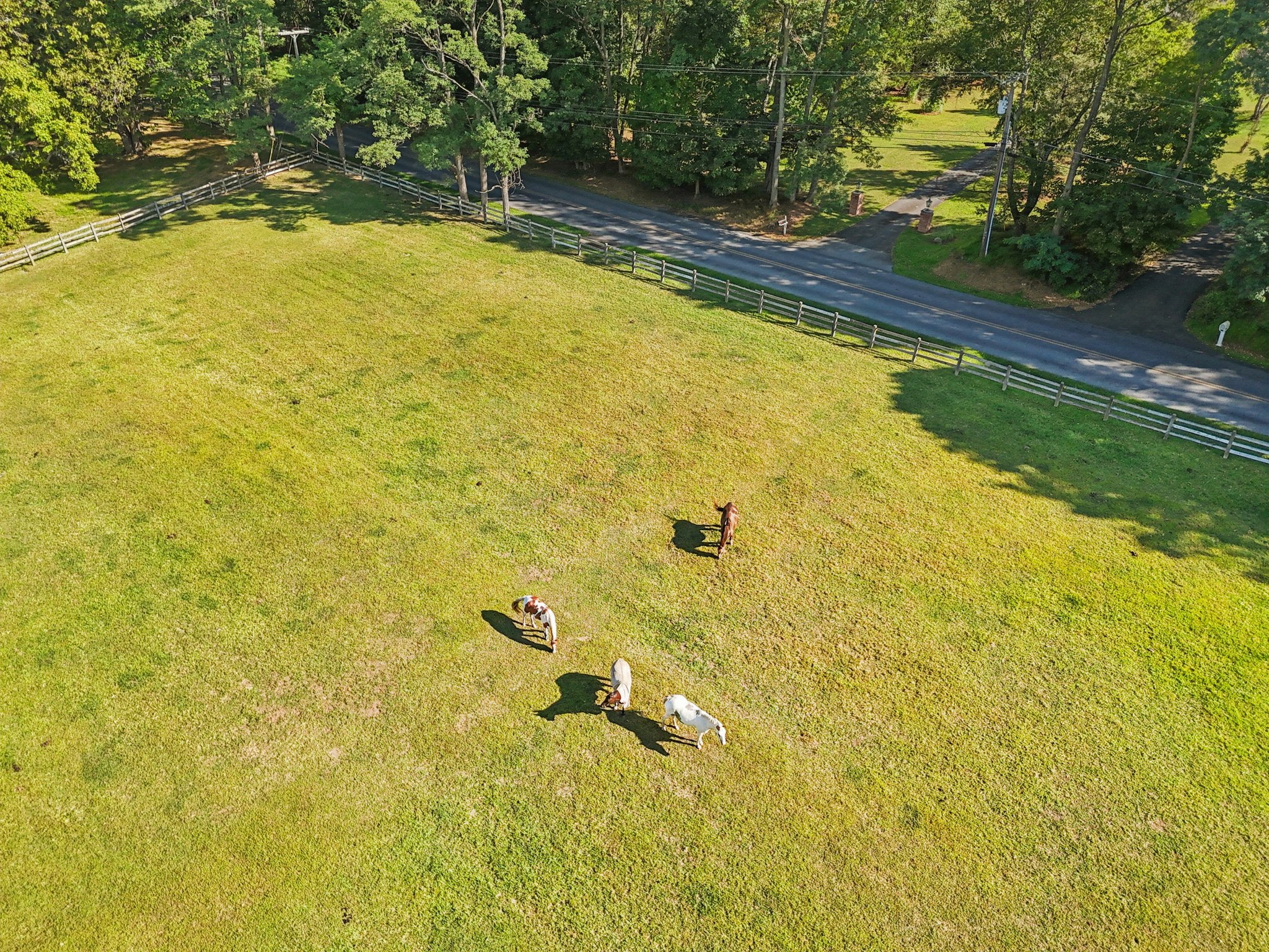 Perryville Rd-S1309-087.jpg