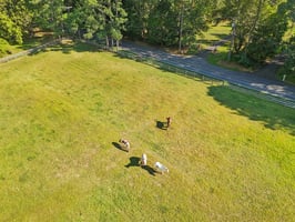 Perryville Rd-S1309-087.jpg