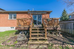  Photo 38