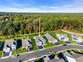  Photo 93