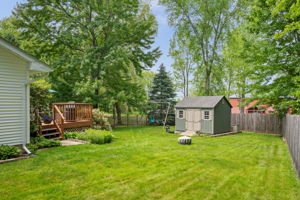  Photo 44
