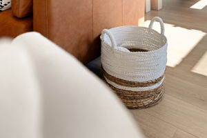  Photo 48