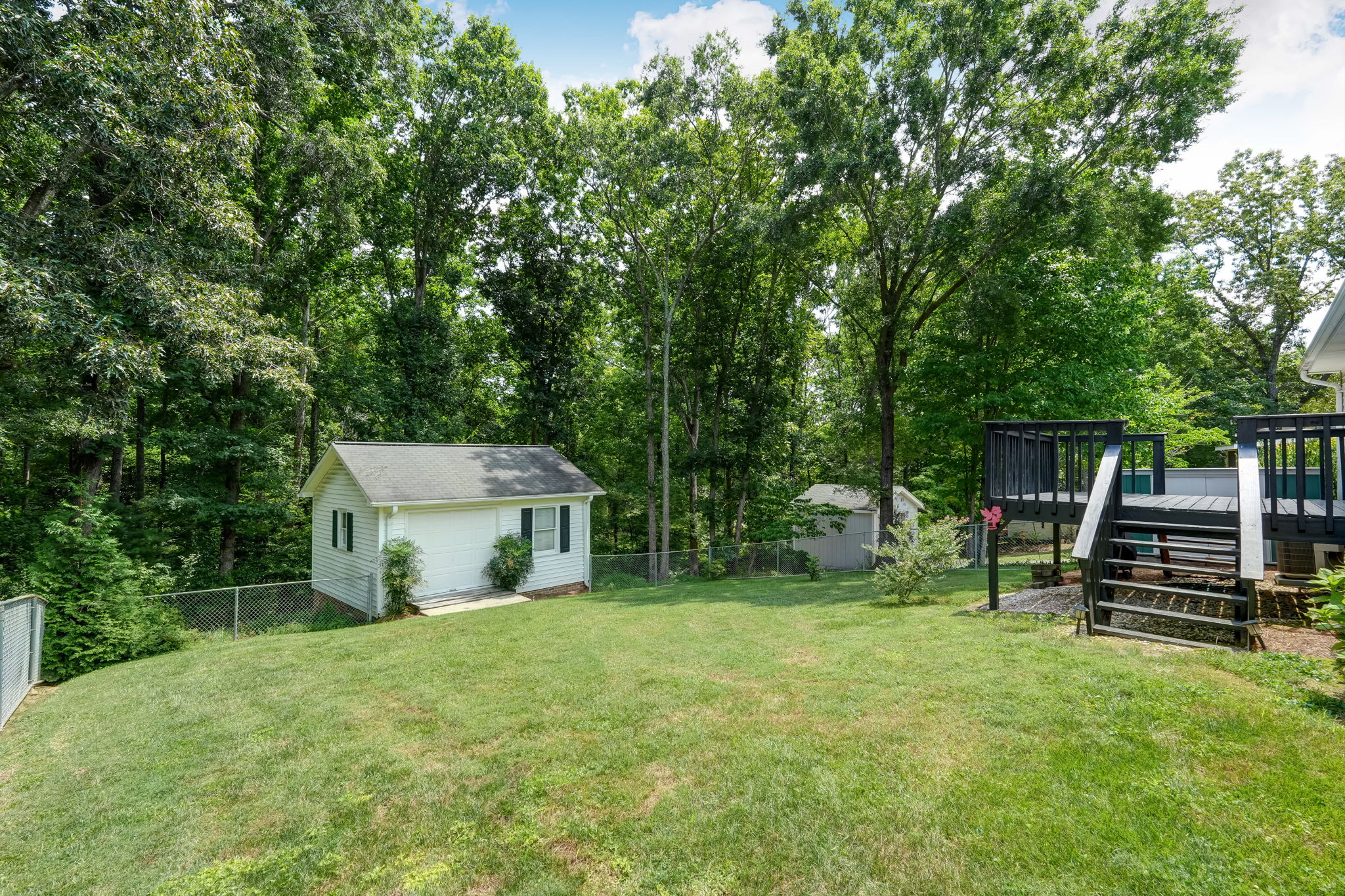 Back Yard