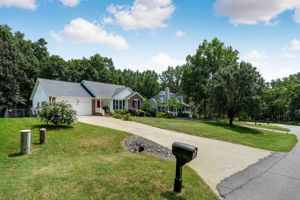 Front Yard