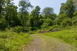  Photo 0