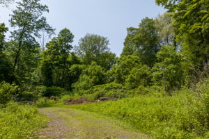  Photo 31