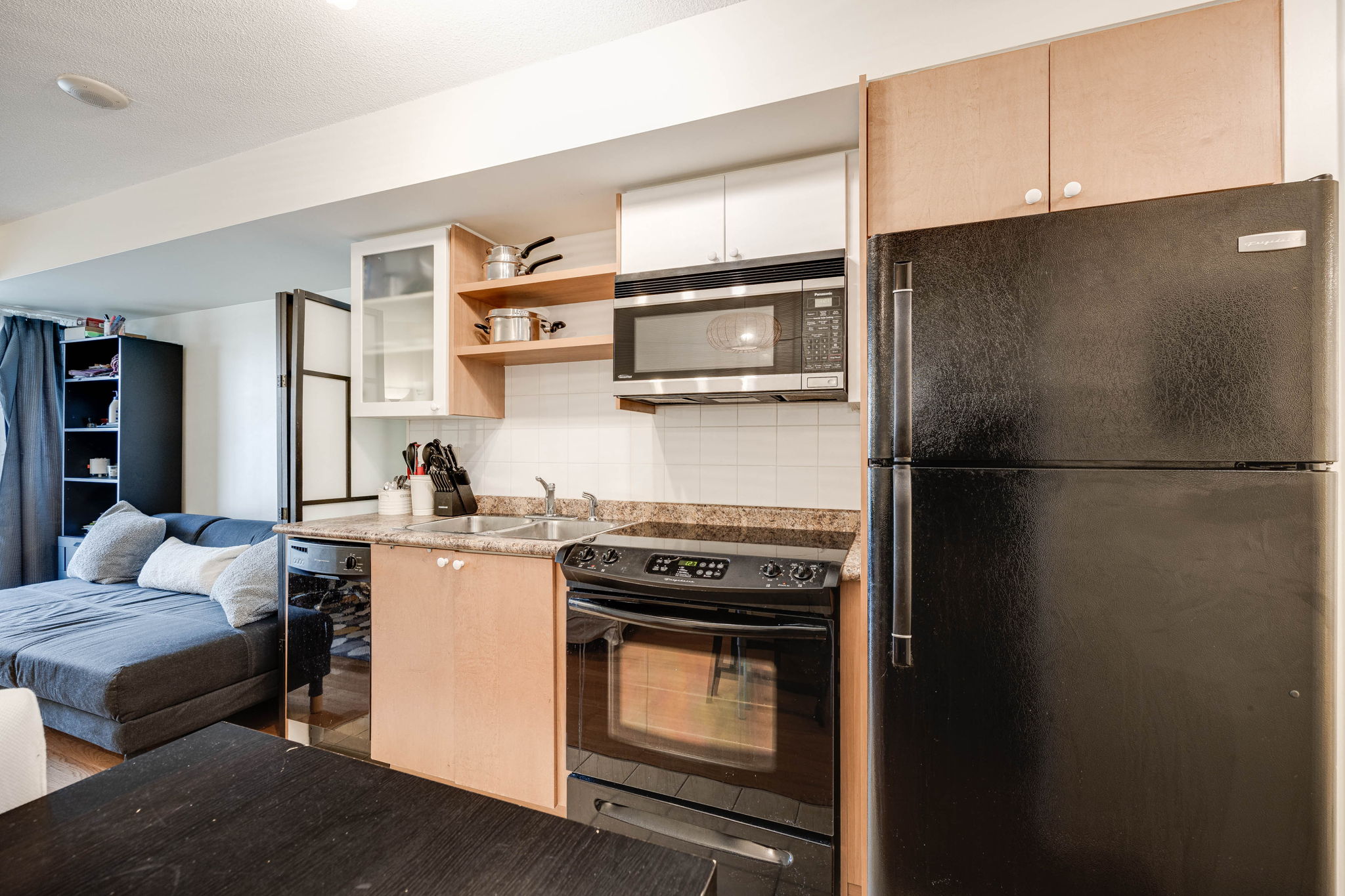 Toronto property showcase — delivered property photograph 4
