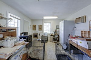  Photo 47