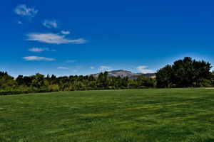  Photo 50