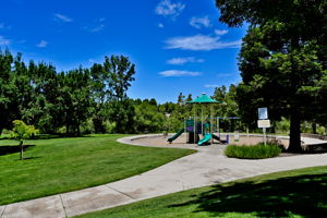  Photo 49
