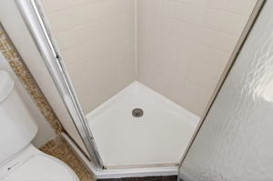  Photo 52